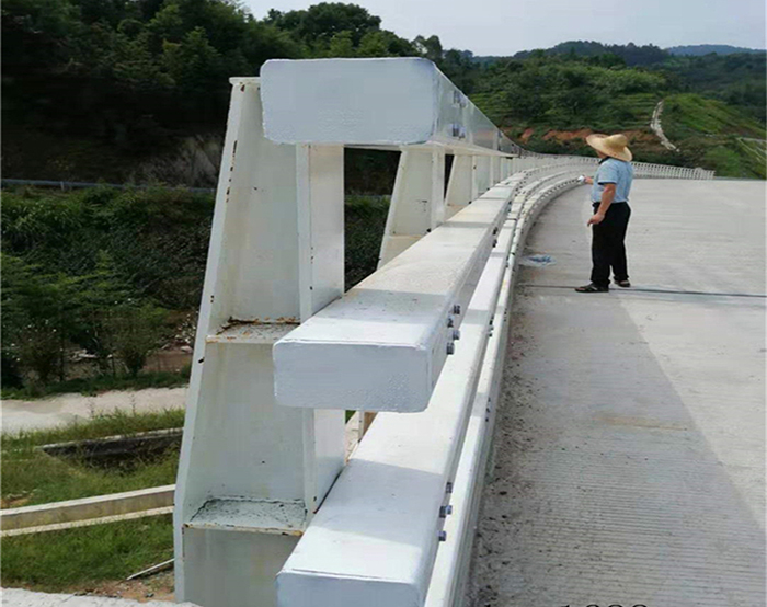 长海防撞桥梁护栏
